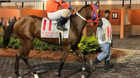 Horse Racing Basics: A Comprehensive Guide For Beginners.
